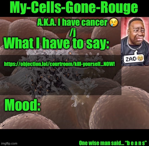 My-Cells-Gone-Rouge announcement | https://objection.lol/courtroom/kill-yourself…NOW! | image tagged in my-cells-gone-rouge announcement | made w/ Imgflip meme maker