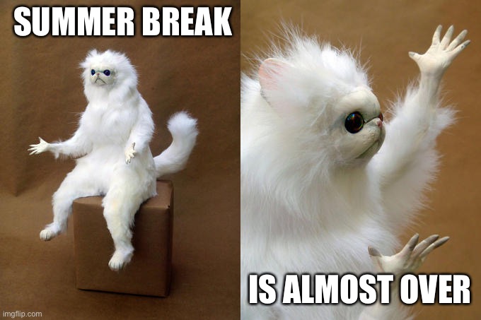 The places are already getting us ready for back to school | SUMMER BREAK; IS ALMOST OVER | image tagged in memes,persian cat room guardian | made w/ Imgflip meme maker