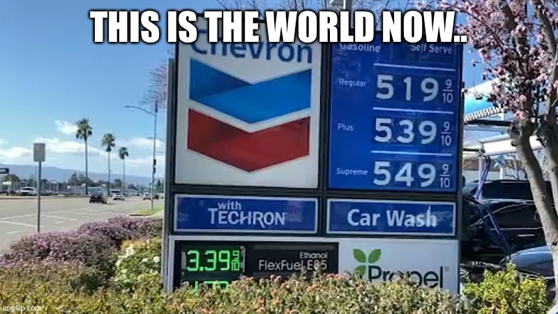 Gas Prices | THIS IS THE WORLD NOW.. | image tagged in gas prices | made w/ Imgflip meme maker