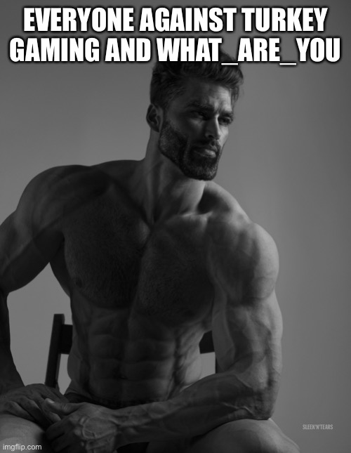 Giga Chad | EVERYONE AGAINST TURKEY GAMING AND WHAT_ARE_YOU | image tagged in giga chad | made w/ Imgflip meme maker
