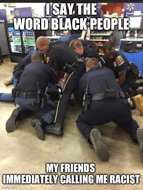 Cop dog pile | I SAY THE WORD BLACK PEOPLE; MY FRIENDS  IMMEDIATELY CALLING ME RACIST | image tagged in cop dog pile | made w/ Imgflip meme maker