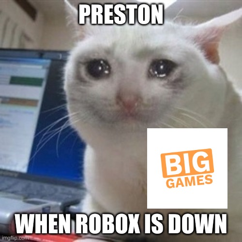 RIP pet sim X | PRESTON; WHEN ROBOX IS DOWN | image tagged in crying cat | made w/ Imgflip meme maker