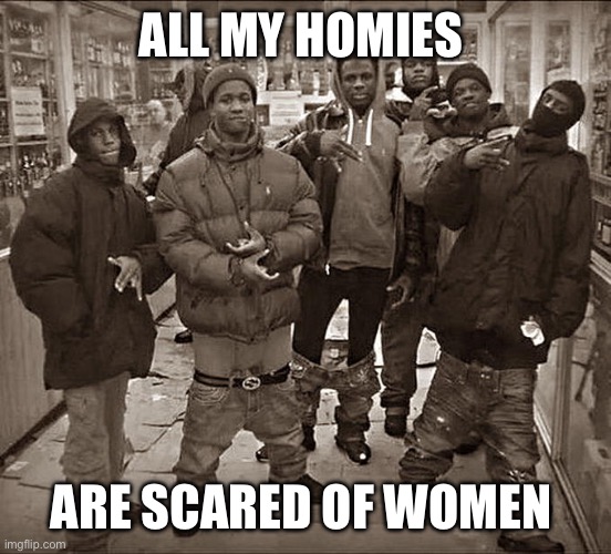 All my homies are scared of | ALL MY HOMIES; ARE SCARED OF WOMEN | image tagged in all my homies hate | made w/ Imgflip meme maker