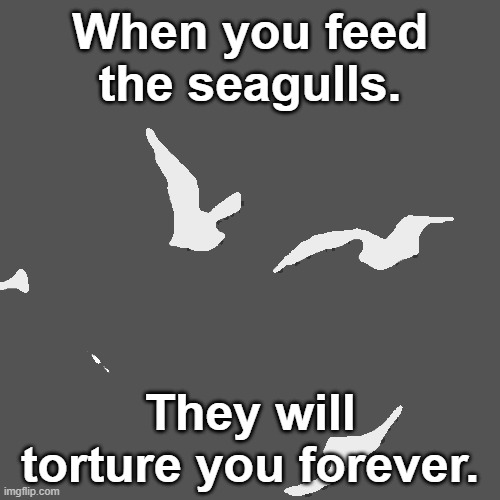 Don't feed the seagulls! | When you feed the seagulls. They will torture you forever. | image tagged in trendwatch | made w/ Imgflip meme maker