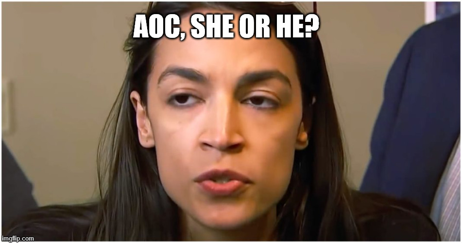 AOC stoned face | AOC, SHE OR HE? | image tagged in aoc stoned face | made w/ Imgflip meme maker