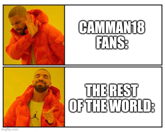 Birch: | CAMMAN18 FANS:; THE REST OF THE WORLD: | image tagged in no - yes,camman18 | made w/ Imgflip meme maker