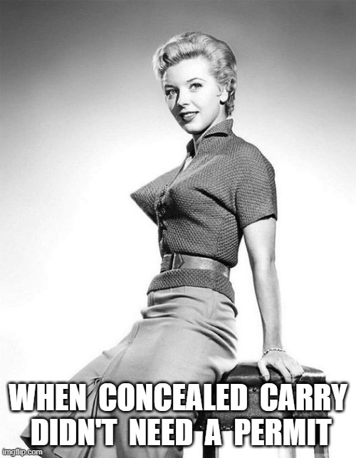 concealed carry | WHEN  CONCEALED  CARRY  DIDN'T  NEED  A  PERMIT | image tagged in gun laws | made w/ Imgflip meme maker