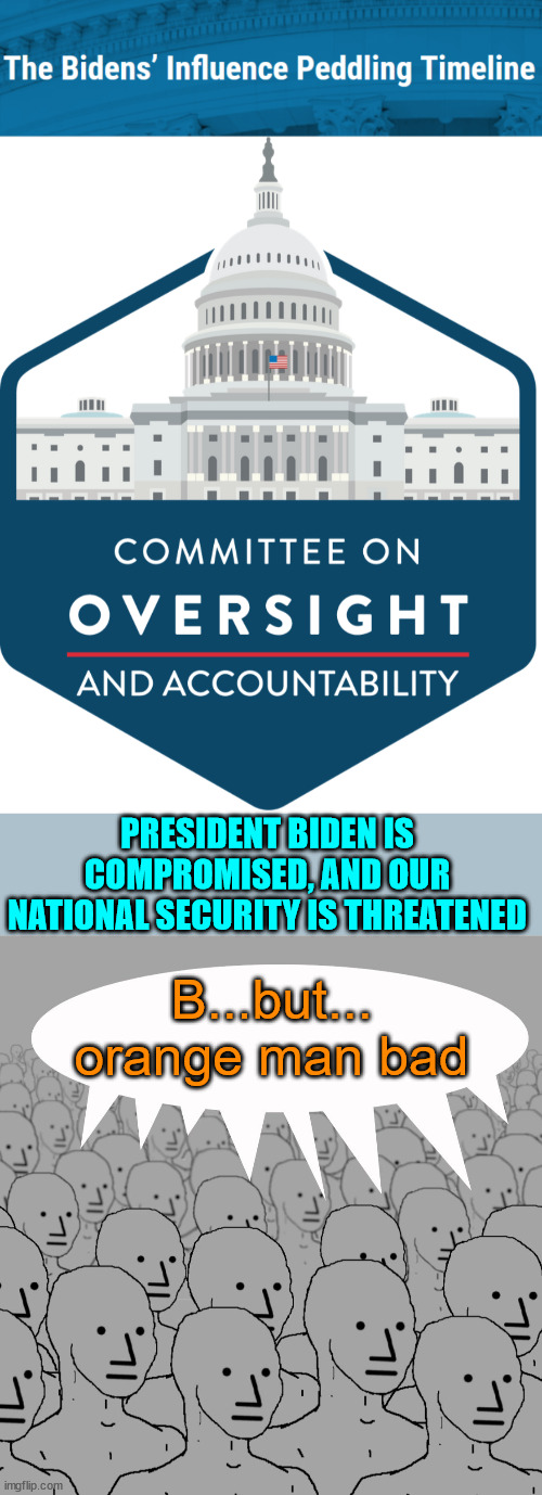 The lib cult wants you to ignore the real criminals in Washington DC | PRESIDENT BIDEN IS COMPROMISED, AND OUR NATIONAL SECURITY IS THREATENED; B...but... orange man bad | image tagged in npc-crowd,real,washington dc,criminals | made w/ Imgflip meme maker
