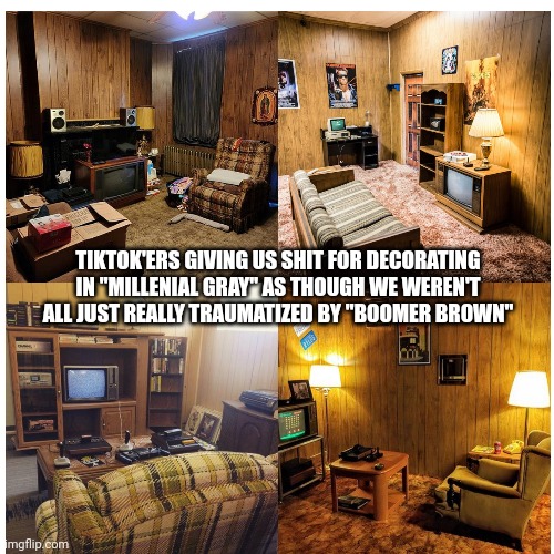 Millenial Gray | TIKTOK'ERS GIVING US SHIT FOR DECORATING IN "MILLENIAL GRAY" AS THOUGH WE WEREN'T ALL JUST REALLY TRAUMATIZED BY "BOOMER BROWN" | image tagged in millennials,boomers,1980s,80s,90s,1990s | made w/ Imgflip meme maker