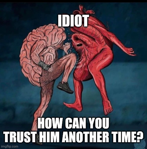 The Heart brain battle | IDIOT; HOW CAN YOU TRUST HIM ANOTHER TIME? | image tagged in the heart brain battle | made w/ Imgflip meme maker