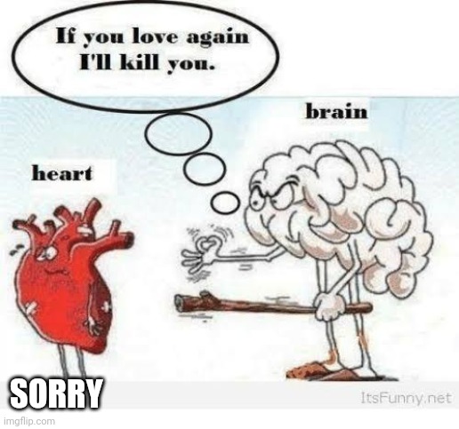 HEART AND BRAIN | SORRY | image tagged in heart and brain | made w/ Imgflip meme maker