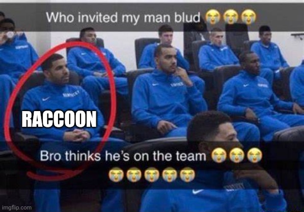 Bro thinks he's on the team | RACCOON | image tagged in bro thinks he's on the team | made w/ Imgflip meme maker