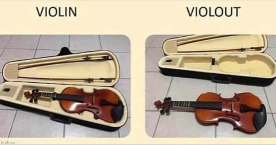 Violin | image tagged in bad pun | made w/ Imgflip meme maker
