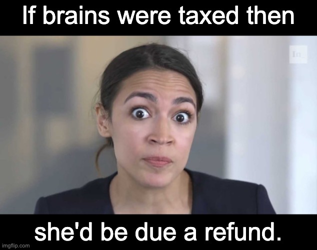 Brains | If brains were taxed then; she'd be due a refund. | image tagged in crazy alexandria ocasio-cortez | made w/ Imgflip meme maker