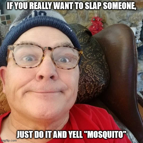 Durl Earl | IF YOU REALLY WANT TO SLAP SOMEONE, JUST DO IT AND YELL "MOSQUITO" | image tagged in durl earl | made w/ Imgflip meme maker