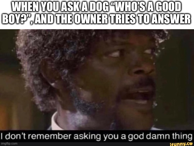 Pup Fiction | WHEN YOU ASK A DOG “WHO’S A GOOD BOY?”, AND THE OWNER TRIES TO ANSWER | image tagged in pupper,dogs,dog joke | made w/ Imgflip meme maker