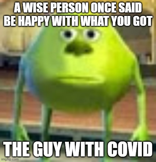Sully Wazowski | A WISE PERSON ONCE SAID BE HAPPY WITH WHAT YOU GOT; THE GUY WITH COVID | image tagged in sully wazowski | made w/ Imgflip meme maker