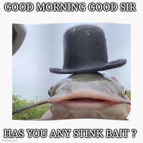 Catfish funny | GOOD MORNING GOOD SIR; HAS YOU ANY STINK BAIT ? | image tagged in fishing | made w/ Imgflip meme maker