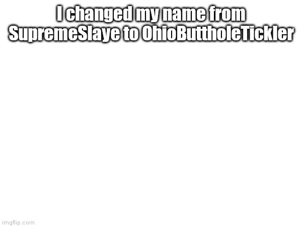 I changed my name from SupremeSlaye to OhioButtholeTickler | made w/ Imgflip meme maker