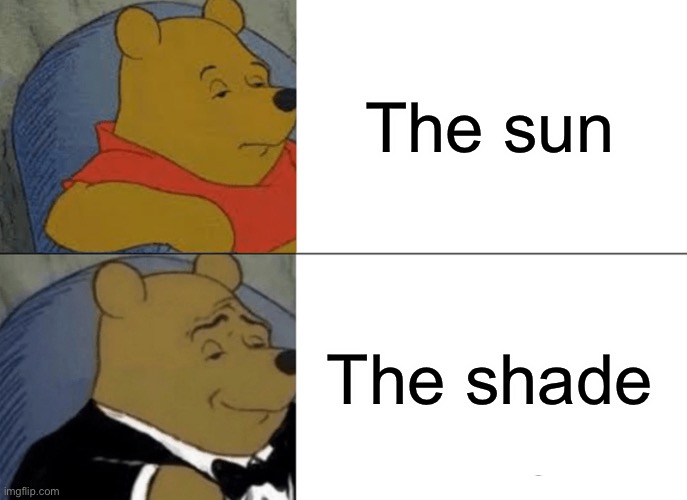 We need that shade XD!! | The sun; The shade | image tagged in memes,tuxedo winnie the pooh | made w/ Imgflip meme maker