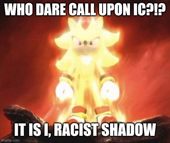 Super Shadow | WHO DARE CALL UPON IC?!? IT IS I, RACIST SHADOW | image tagged in super shadow | made w/ Imgflip meme maker