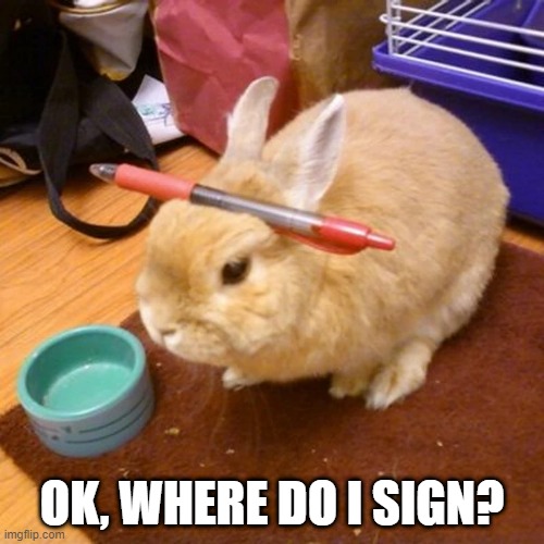 Sign Me Hop | OK, WHERE DO I SIGN? | image tagged in bunnies | made w/ Imgflip meme maker