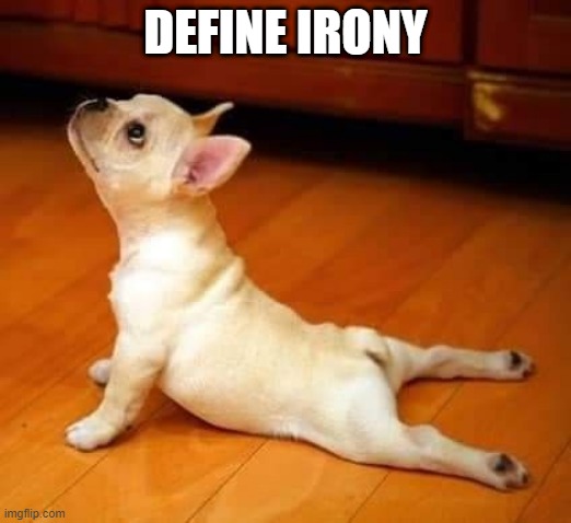 Yoga Dog | DEFINE IRONY | image tagged in dogs | made w/ Imgflip meme maker