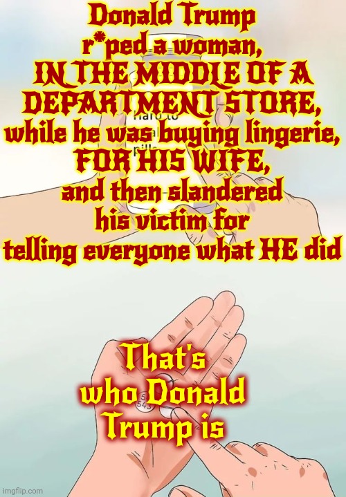 Proven In A Court Of Law | Donald Trump r*ped a woman,
IN THE MIDDLE OF A DEPARTMENT STORE,
while he was buying lingerie,
FOR HIS WIFE,
and then slandered his victim for telling everyone what HE did; That's who Donald Trump is | image tagged in memes,hard to swallow pills,scumbag trump,lock him up,deplorable donald,disgusting | made w/ Imgflip meme maker