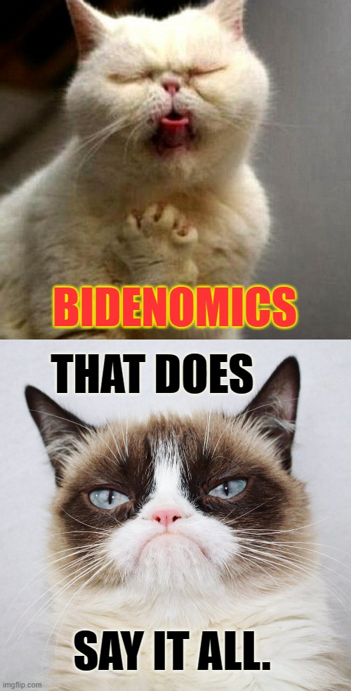 I Think We All Feel That Way | BIDENOMICS; THAT DOES; SAY IT ALL. | image tagged in memes,politics,anxiety cat,bidenomics,grumpy cat,so true | made w/ Imgflip meme maker