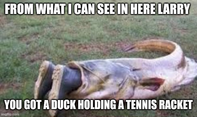 Catfish | FROM WHAT I CAN SEE IN HERE LARRY; YOU GOT A DUCK HOLDING A TENNIS RACKET | image tagged in fishing | made w/ Imgflip meme maker