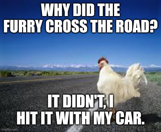 original | WHY DID THE FURRY CROSS THE ROAD? IT DIDN'T, I HIT IT WITH MY CAR. | image tagged in why the chicken cross the road,memes,funny,anti furry | made w/ Imgflip meme maker
