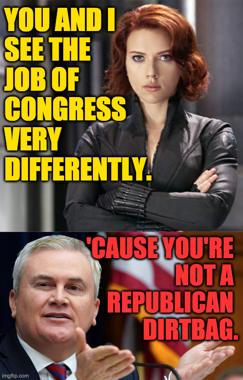 YOU AND I
SEE THE
JOB OF
CONGRESS
VERY
DIFFERENTLY. 'CAUSE YOU'RE 
NOT A 
REPUBLICAN 
DIRTBAG. | image tagged in black widow - not impressed | made w/ Imgflip meme maker