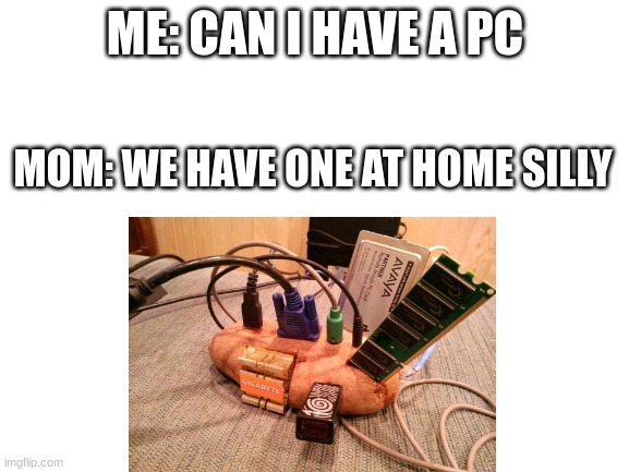 Moms frfr | ME: CAN I HAVE A PC; MOM: WE HAVE ONE AT HOME SILLY | image tagged in pc gaming,gaming,memes,funny memes,so true memes,video games | made w/ Imgflip meme maker