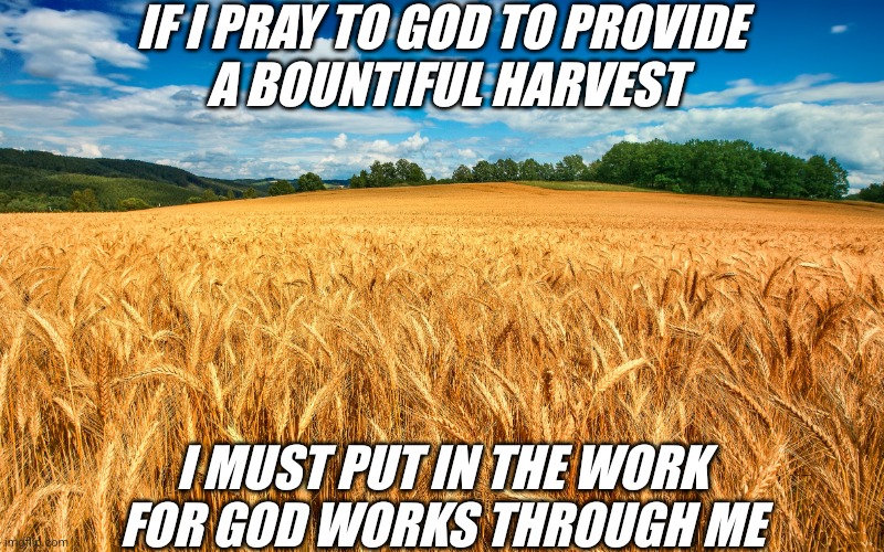 He works through me | IF I PRAY TO GOD TO PROVIDE
 A BOUNTIFUL HARVEST; I MUST PUT IN THE WORK
FOR GOD WORKS THROUGH ME | image tagged in harvest,prayer,god,praying,work | made w/ Imgflip meme maker
