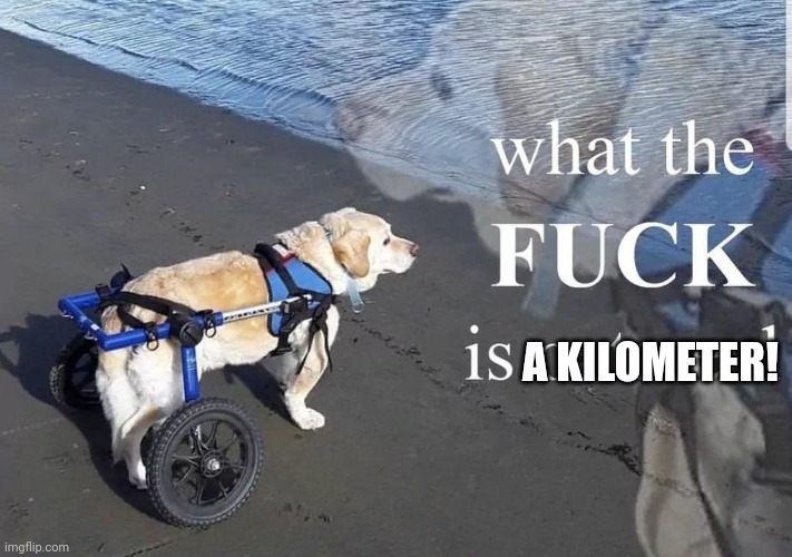 What the f**k is oatmeal | A KILOMETER! | image tagged in what the f k is oatmeal | made w/ Imgflip meme maker