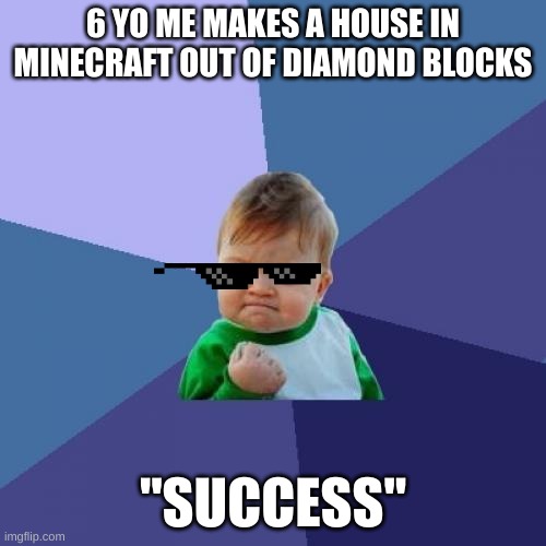 Success Kid | 6 YO ME MAKES A HOUSE IN MINECRAFT OUT OF DIAMOND BLOCKS; "SUCCESS" | image tagged in memes,success kid | made w/ Imgflip meme maker