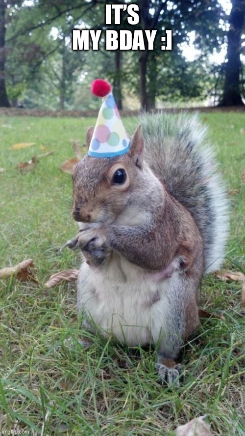 Yippee | IT’S MY BDAY :] | image tagged in memes,super birthday squirrel | made w/ Imgflip meme maker