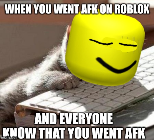 AFK BE LIKE | WHEN YOU WENT AFK ON ROBLOX; AND EVERYONE KNOW THAT YOU WENT AFK | image tagged in roblox,sleep,tired cat | made w/ Imgflip meme maker