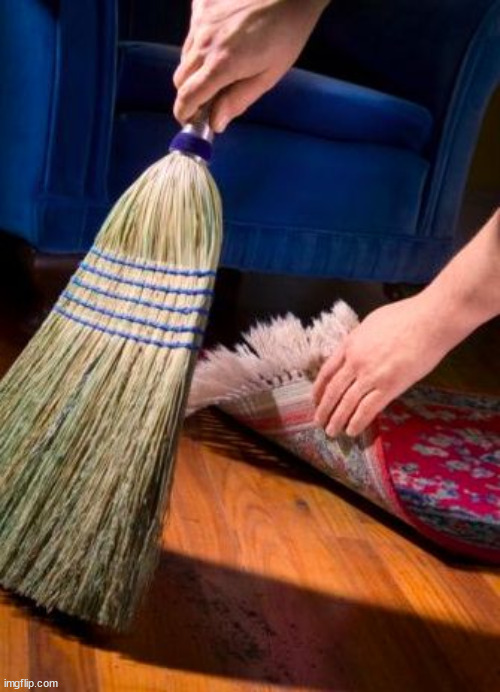 Sweep under carpet | image tagged in sweep under carpet | made w/ Imgflip meme maker