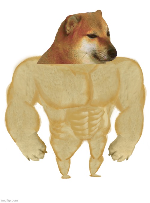 This is like Golem Bomber | image tagged in swole doge,true,funny,memes | made w/ Imgflip meme maker