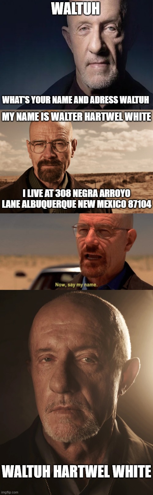 I love shitposting | WALTUH; WHAT'S YOUR NAME AND ADRESS WALTUH; MY NAME IS WALTER HARTWEL WHITE; I LIVE AT 308 NEGRA ARROYO LANE ALBUQUERQUE NEW MEXICO 87104; WALTUH HARTWEL WHITE | image tagged in mike ehrmantraut,walter white,now say my name | made w/ Imgflip meme maker