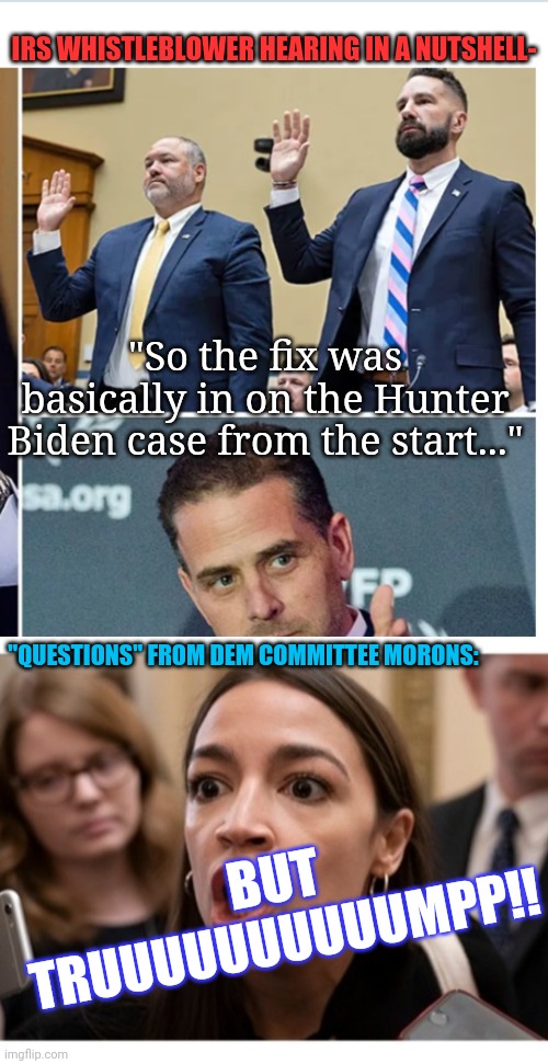 Dems - Pathetic TDS Forever! | IRS WHISTLEBLOWER HEARING IN A NUTSHELL-; "So the fix was basically in on the Hunter Biden case from the start..."; "QUESTIONS" FROM DEM COMMITTEE MORONS:; BUT TRUUUUUUUUUUMPP!! | image tagged in crush,marxism,libtards,you're fired,trump for president | made w/ Imgflip meme maker