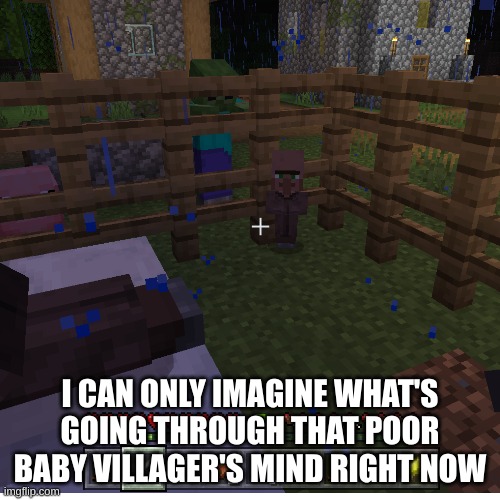 I'm in danger | I CAN ONLY IMAGINE WHAT'S GOING THROUGH THAT POOR BABY VILLAGER'S MIND RIGHT NOW | image tagged in minecraft | made w/ Imgflip meme maker