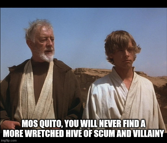 Obi Wan Mos Eisley Spaceport you will never find a more wretched | MOS QUITO, YOU WILL NEVER FIND A MORE WRETCHED HIVE OF SCUM AND VILLAINY | image tagged in obi wan mos eisley spaceport you will never find a more wretched | made w/ Imgflip meme maker