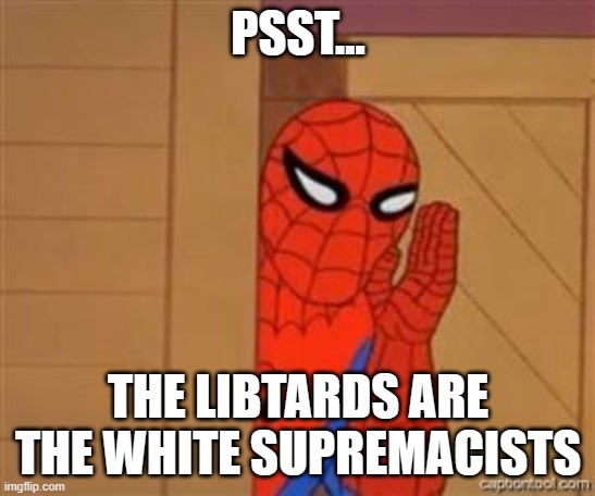 psst spiderman | PSST... THE LIBTARDS ARE THE WHITE SUPREMACISTS | image tagged in psst spiderman | made w/ Imgflip meme maker