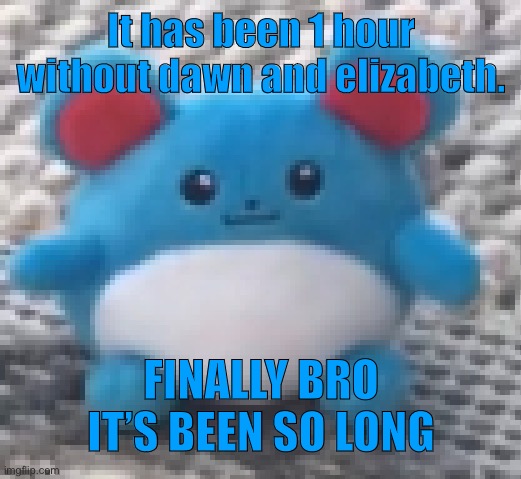 Marill 6 | It has been 1 hour without dawn and elizabeth. FINALLY BRO IT’S BEEN SO LONG | image tagged in marill 6 | made w/ Imgflip meme maker