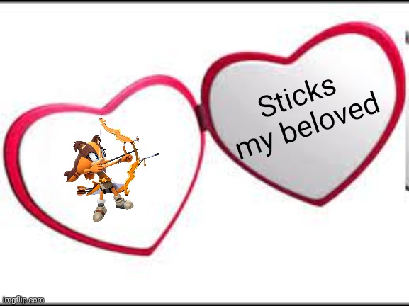 My beloved | Sticks my beloved | image tagged in my beloved,sonic boom | made w/ Imgflip meme maker