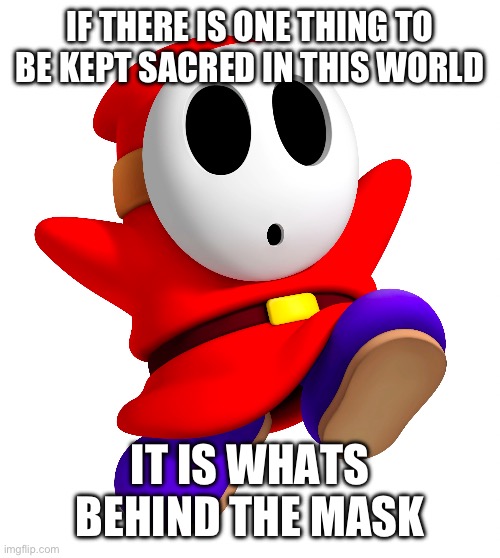 IF THERE IS ONE THING TO BE KEPT SACRED IN THIS WORLD; IT IS WHATS BEHIND THE MASK | image tagged in mario,shy guy,nintendo | made w/ Imgflip meme maker