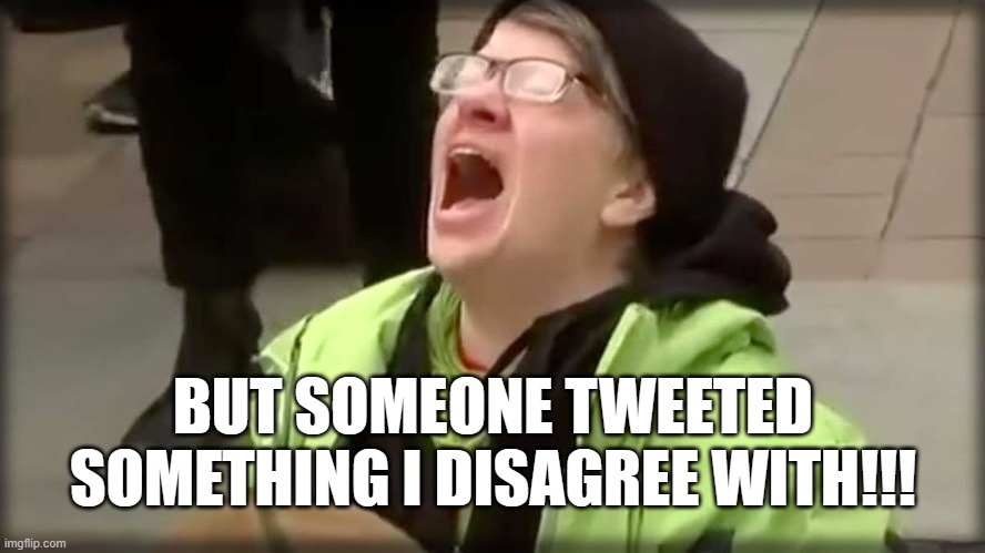 Trump SJW No | BUT SOMEONE TWEETED SOMETHING I DISAGREE WITH!!! | image tagged in trump sjw no | made w/ Imgflip meme maker