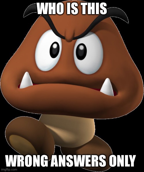 Goomba | WHO IS THIS; WRONG ANSWERS ONLY | image tagged in goomba | made w/ Imgflip meme maker